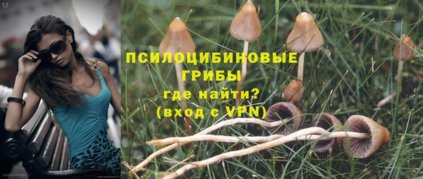 мескалин Горняк