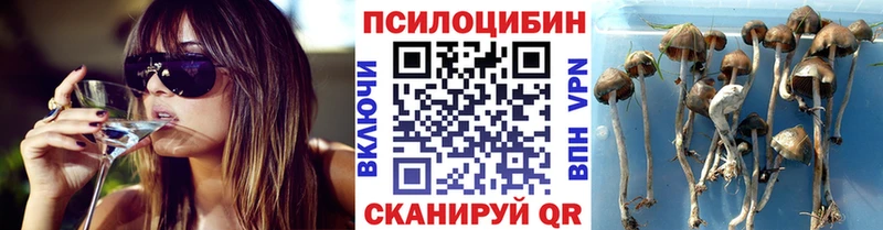 Галлюциногенные грибы мицелий Кирсанов